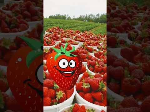strawberry 🍓😂😂😂😂 #funny #butifyoucloseyoureyes