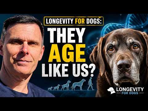 Longevity for Dogs: Our Sentinels for Human Aging?