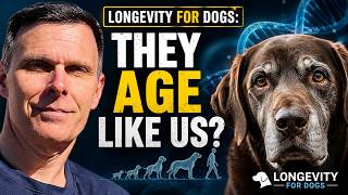 Longevity for Dogs Our Sentinels for Human Aging
