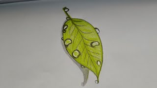 Quick& Easy art-leaf with water droplets using colour pencil|for more arts support me by subscribing