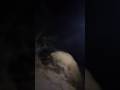 #horror #ghost #vlog #dailyvlog #minivlog #comedy #adventure #firstvlog #scary