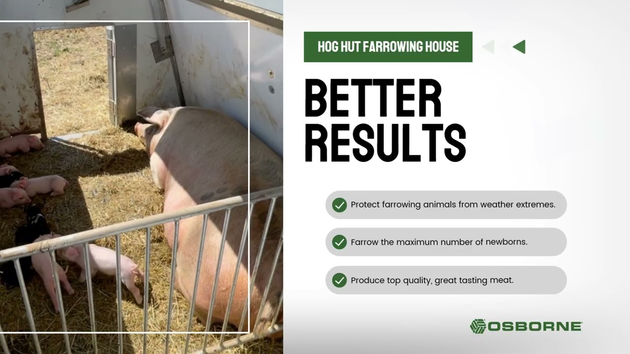 Hog Hut Pig Shelter Farrowing House