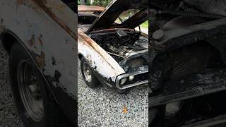 The Burnt 68’ firebird is coming back to life slowly!
