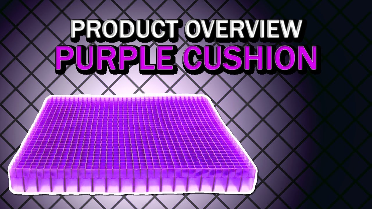 Purple Double Seat Cushion