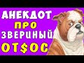 АНЕКДОТ про ТЁЩУ и ЗЯТЯ по Звериному | Самые смешные свежие анекдоты