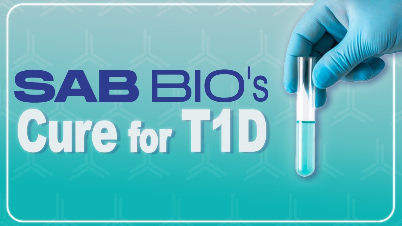 This Could Stop Type 1 Diabetes - SAB-142 Explained - YouTube