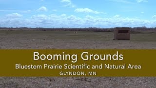 Booming Grounds: Bluestem Prairie Scientific and Natural Area