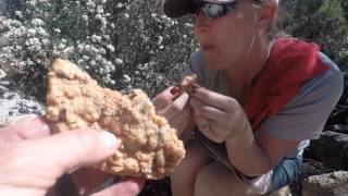 Wildhorse Trail Agua Tibia Wilderness Net Worth