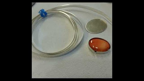 Spiney oyster ring using Potter USA