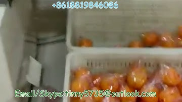 Orange Automatic packaging machine,Orange packing machine,Orange flow pack machine