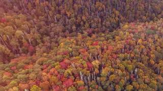 Fall Colors At Smoky Mountains 4k DJI PHANTOM 4 PRO