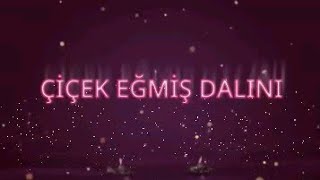 🏪  ÇİÇEK   EĞMİŞ   DALINI  🏪