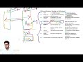 13th Random Oracle DBA Q&amp;A "Standby is the engine. Data Guard is the autopilot."