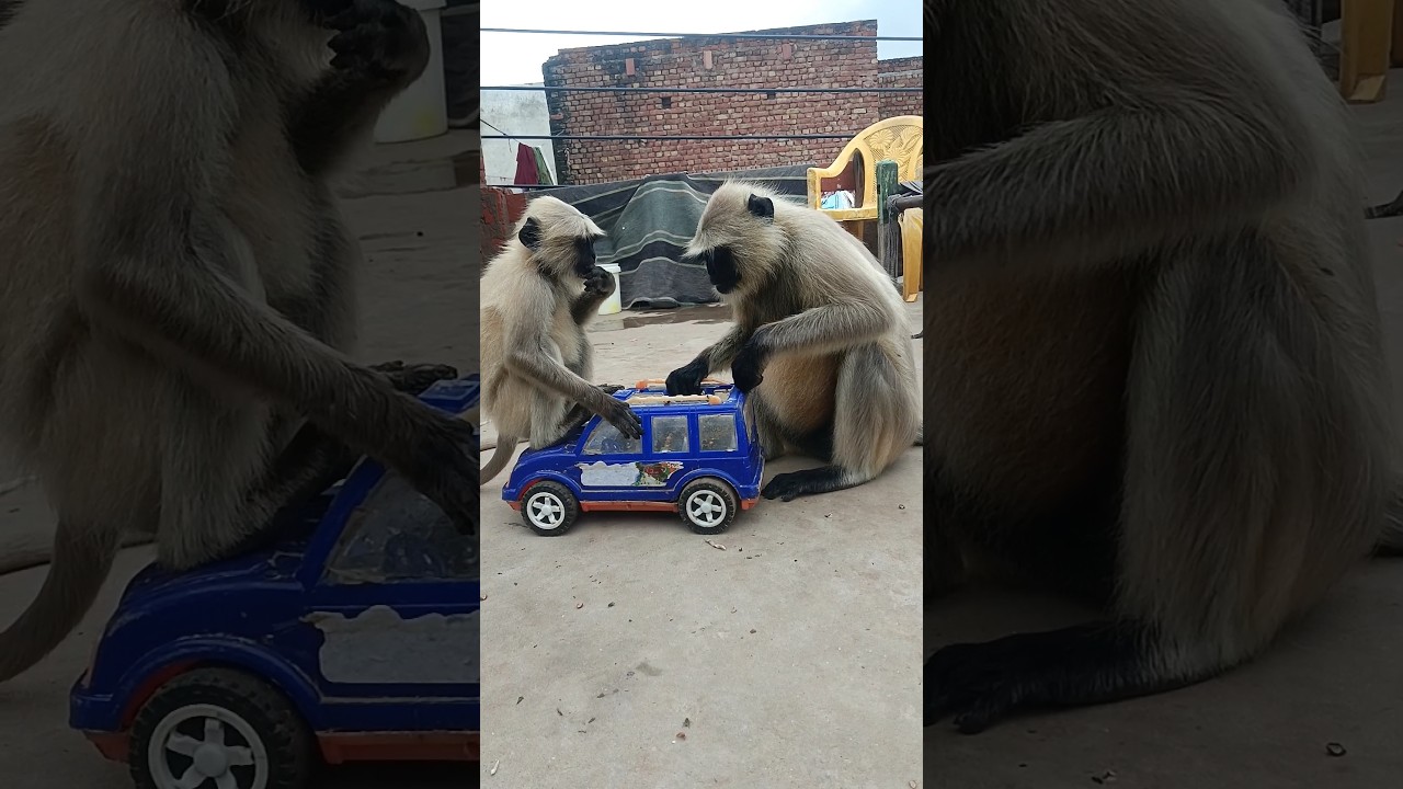 Jo tod de mere hoslon ko 