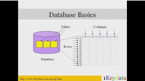 Learn Basic SQL Commands: SELECT, FROM, WHERE, GROUP BY, HAVING, ORDER BY