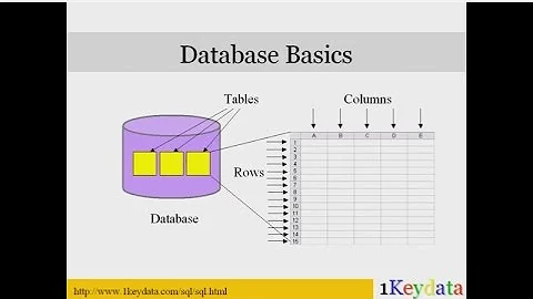 How do you write SQL commands?