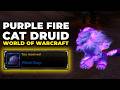 How to get the Purple Fire Cat look in World of Warcraft