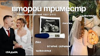 картинка: Второй триместр I свадьба I шевеления I ГТТ I пол ребенка I второй скрининг I мои ощущения