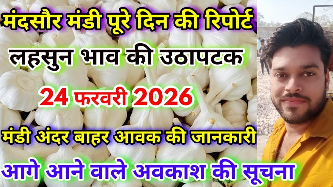 मंदसौर मंडी की लहसुन भाव की पूरे दिन की रिपोर्ट तेजी मंदी | Lahsun Ka Bhav | Mandsaur Mandi 
