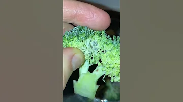 ¿Qué es el brócoli con bichitos?