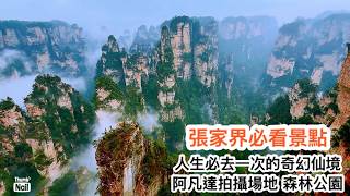 張家界必看景點攻略 阿凡達拍攝場地 ｜ 一生人至少要去看一次的大自然奇景 張家界國家森林公園的奇幻仙景 百龍電梯 袁家界 十里畫廊 ｜ 去張家界國家森林公園旅遊的小心得分享 《醉男張家界之旅1/6》
