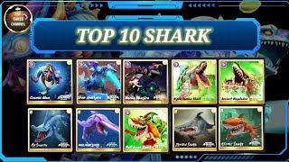 Top 10 shark mạnh nhất - Hungry Shark World