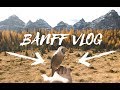 HE LANDED ON MY HAND!!! - Banff VLOG