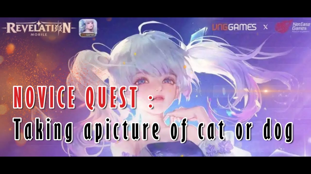 REVELATION INFINITE JOURNEY | Novice quest taking a picture cat or dog
