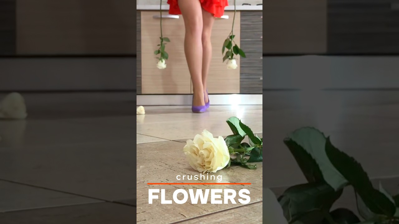 Туфли на каблуках крушат всё: Туфли Пи против цветов! Странно приятный ASMR