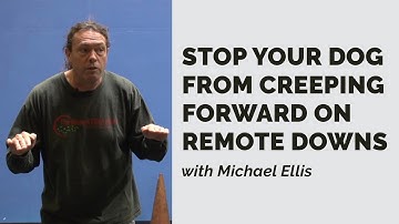 Stop Your Dog From Creeping Forward on Remote Downs with Michael Ellis