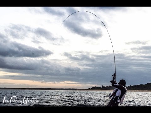 IsoFishingTV - EP40: First drummer of 2015 ISO fishing Part 1/2