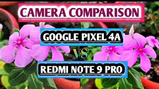 Google Pixel 4A vs Redmi Note 9 Pro Camera Test | Pixel 4A Camera Review