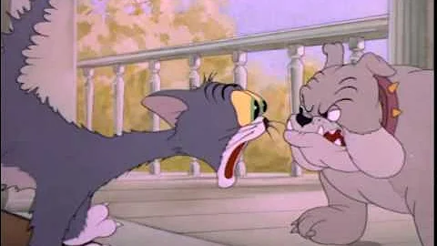 Babak Boroujerdi (Tom & Jerry)