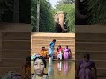 #animals #elephant #funnyanimal #jimcorbettwildlifeandnatureview
