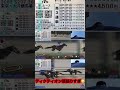 【競馬】東京大賞典でディクテオンが頑張り過ぎた件🥺 #shorts #競馬