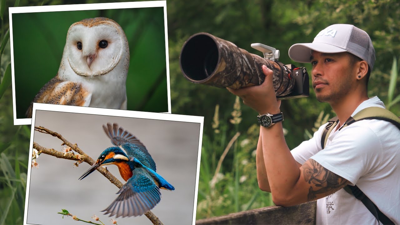 Sony A7 IV Review (2025) — 5 Pros and Cons You NEED to Know!