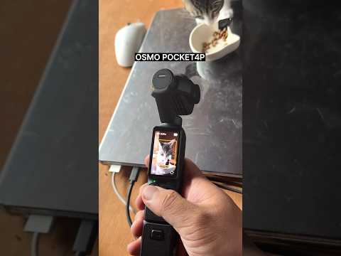 My cute DJI pocket4P <strong>camera</strong>📸🩷