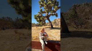 reading The Martian in the middle of a desert #shorts #booktube #scifi #california #book