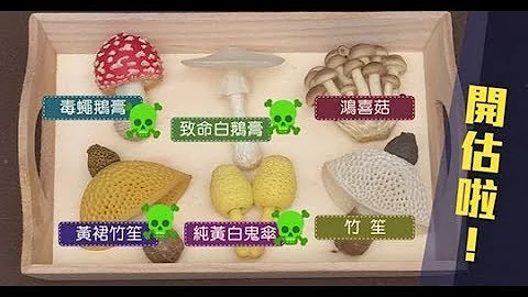 【杏林在线】路边野菇不要采 - 天天要闻