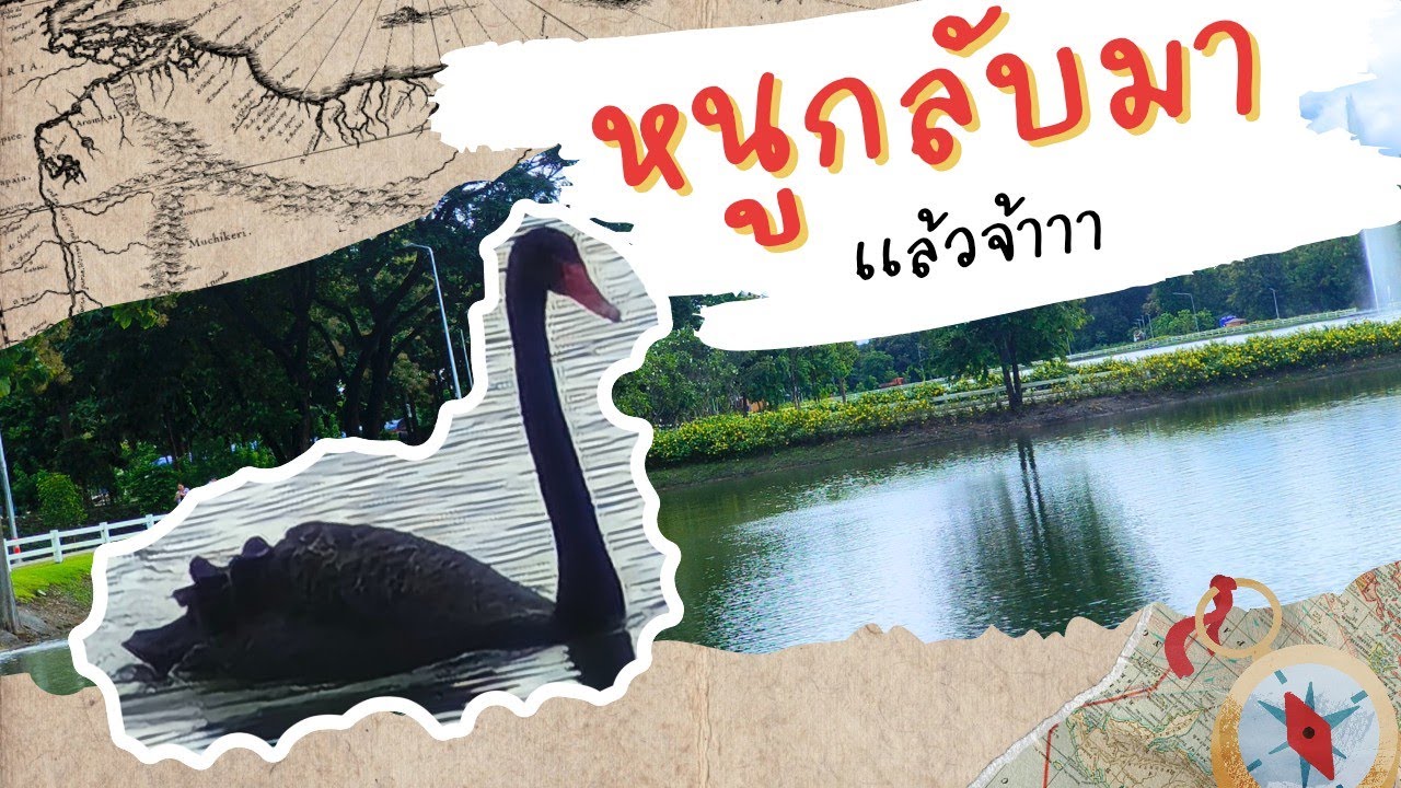 ภารกิจให้กำลังใจต้อนรับน้องหงส์ดำกลับบ้าน EP.3