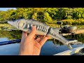 Do Pike Eat Sturgeon 
