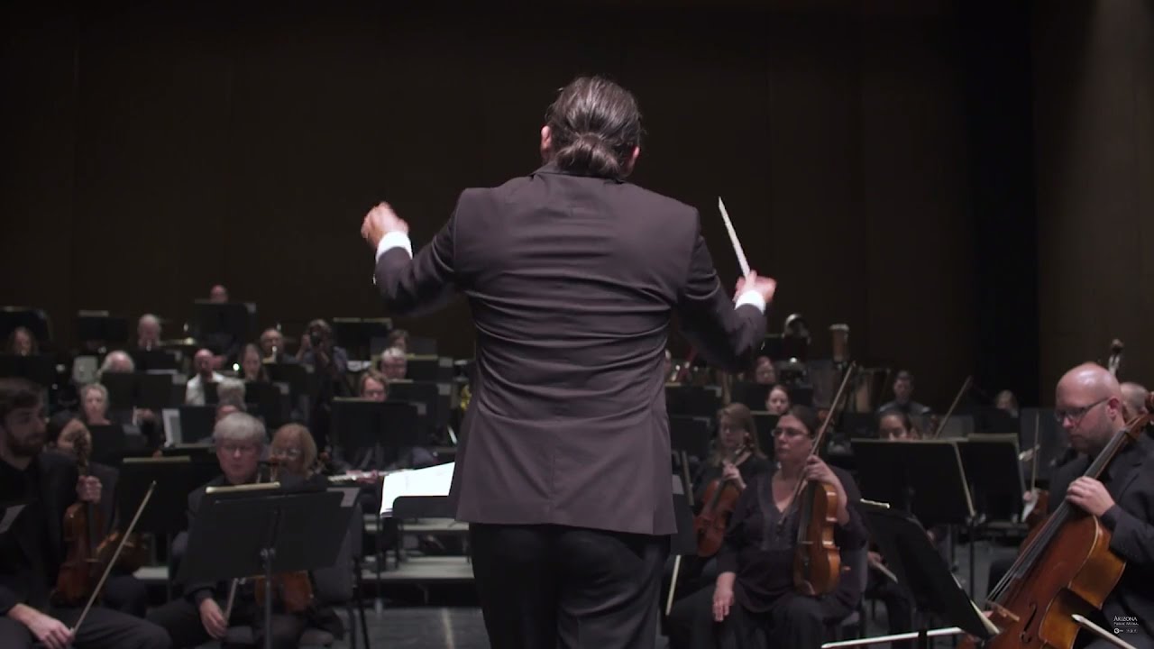 Orchestra conductor