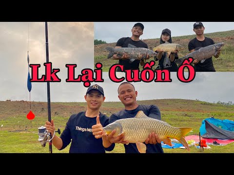 Lk Lại Cuốn Ổ. Giật Cháy Nách, Bắt Cá Lên Kho Đãi Khách