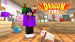 My Dragonfire 07: The Dragon Kingdom PET SHOP