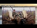 A lover&#39;s quest for an amazing Yukon Bull!!