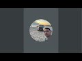 Vital Vlogs 4x4 está ao vivo!