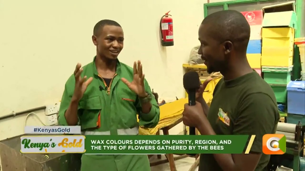 | Kenya’s Gold | Bees Wax Value Addition