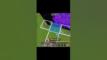 Water in the Nether?! 🤯 Minecraft Crazy Logic #minecraft #shorts #minecraftshorts