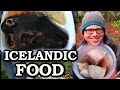 Joe Tries Weird Icelandic Food (The Joe Goes Meetup In Iceland)