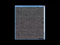 ARPrime Alpha5 - cARPicuaConjectura - 94210 a 94246 [#1370 (06/06/2026)]